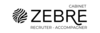 CABINET ZEBRE