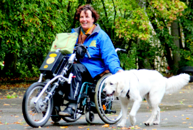 handicap-chien-m-gading-flickrcc