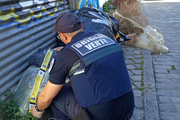 Agent de la brigade verte