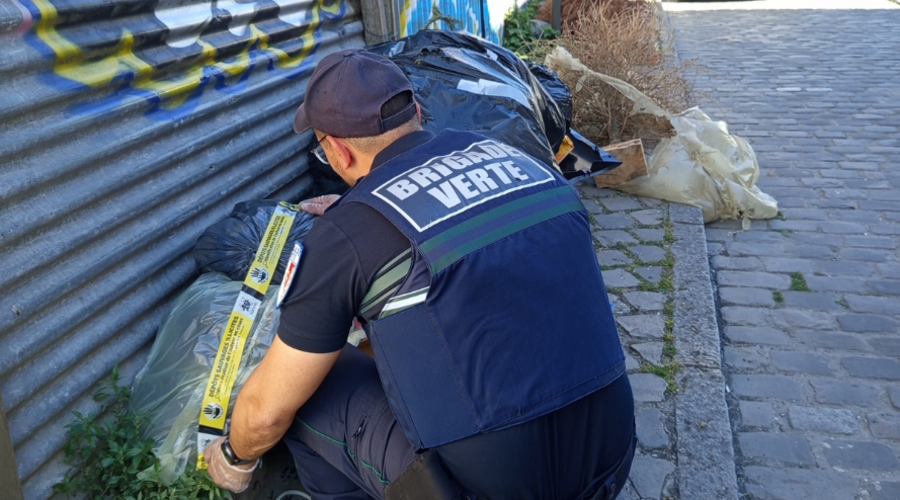 Agent de la brigade verte