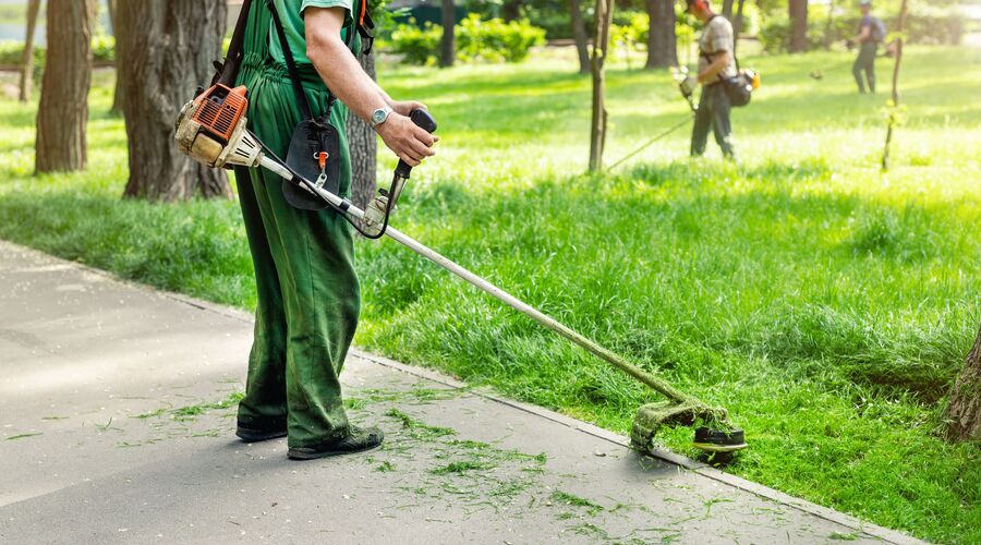 Devenir agent d'entretien des espaces verts