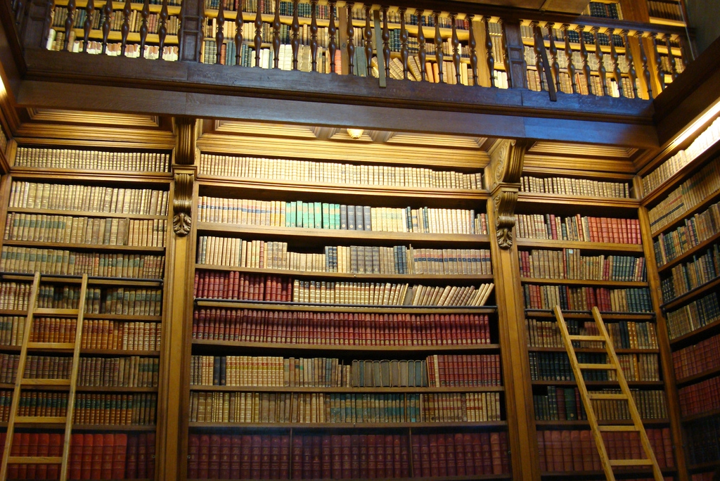 assemblée nationale