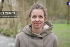 Claire MAGAND OFB