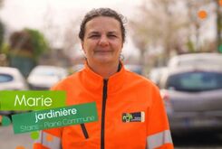 marie plaine commune