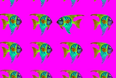 voie-inverse-originalite-pixa