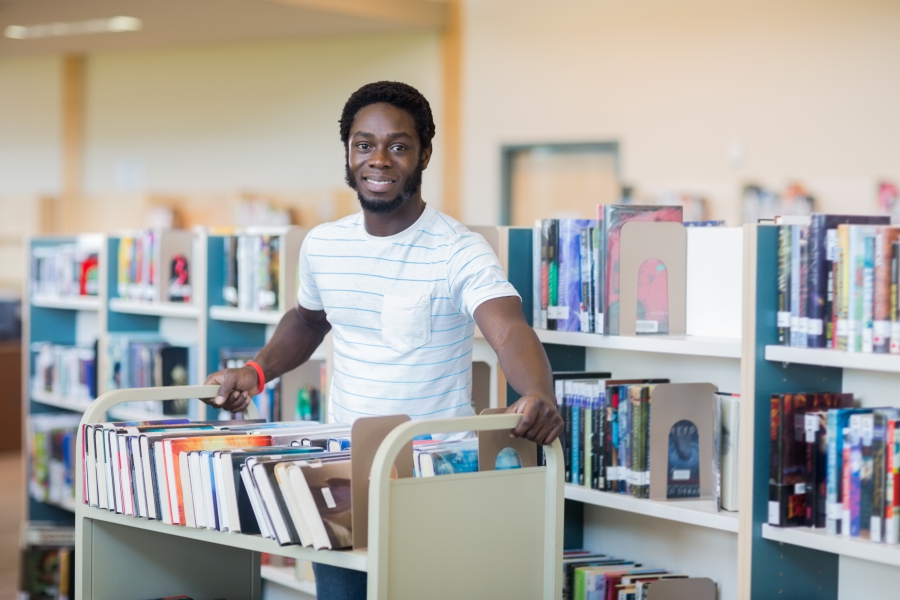 Bibliothèque - magasinier